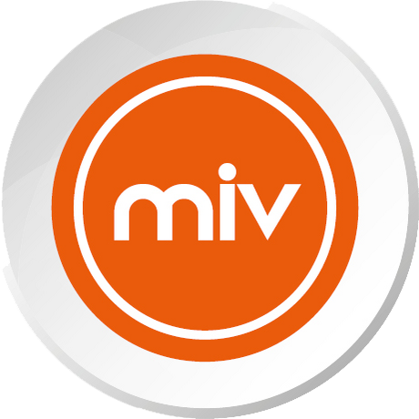 Logo Made In Vidéo